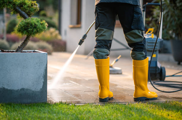 Best Window Cleaning in Prices Fork, VA